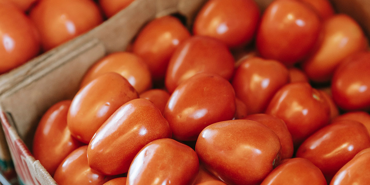 Segmentazione nei pomodori, allarme rosso